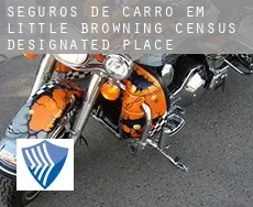 Seguros de carro em  Little Browning