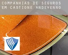 Companhias de seguros em  Castione Andevenno