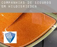 Companhias de seguros em  Hildisrieden