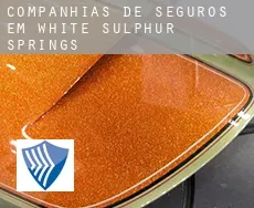 Companhias de seguros em  White Sulphur Springs