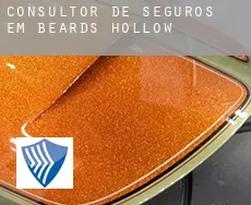 Consultor de seguros em  Beards Hollow