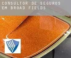 Consultor de seguros em  Broad Fields