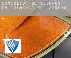 Consultor de seguros em  Colmenar del Arroyo