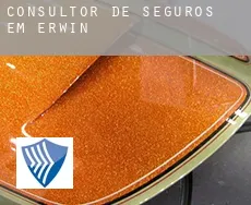 Consultor de seguros em  Erwin