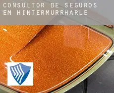 Consultor de seguros em  Hintermurrhärle