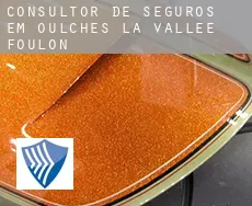 Consultor de seguros em  Oulches-la-Vallée-Foulon