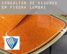 Consultor de seguros em Piedra Lumbre
