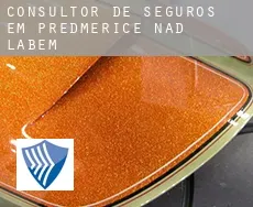 Consultor de seguros em  Předměřice nad Labem