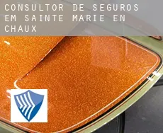 Consultor de seguros em  Sainte-Marie-en-Chaux