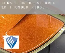 Consultor de seguros em  Thunder Ridge
