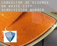 Consultor de seguros em  White City Subdivision Number 1
