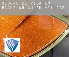Seguro de vida em  Bachelor Gulch Village