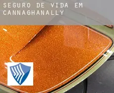 Seguro de vida em  Cannaghanally