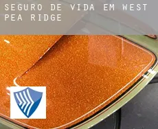 Seguro de vida em  West Pea Ridge