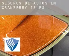 Seguros de autos em  Cranberry Isles