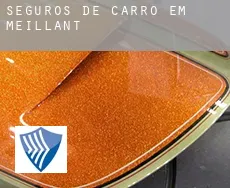 Seguros de carro em  Meillant