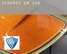 Seguros em Aue