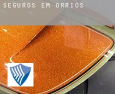 Seguros em  Orrios