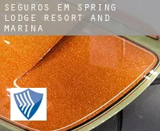 Seguros em Spring Lodge Resort and Marina