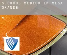 Seguros médico em  Mesa Grande