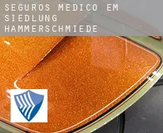 Seguros médico em  Siedlung Hammerschmiede