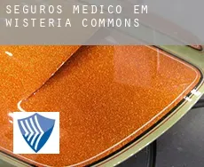 Seguros médico em  Wisteria Commons