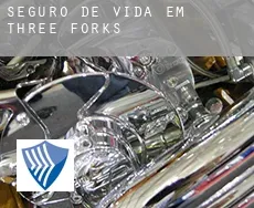 Seguro de vida em  Three Forks