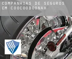 Companhias de seguros em  Coocooboonah