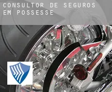 Consultor de seguros em  Possesse