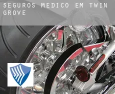 Seguros médico em Twin Grove