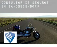 Consultor de seguros em  Sandbeiendorf