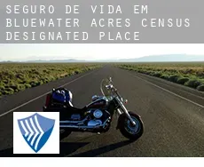 Seguro de vida em  Bluewater Acres