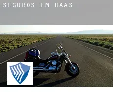 Seguros em  Haas