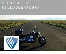 Seguros em Killogeenaghan