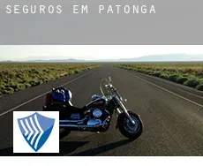 Seguros em  Patonga