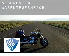 Seguros em  Wasentegernbach