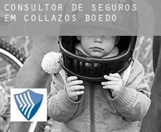 Consultor de seguros em  Collazos de Boedo