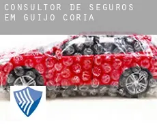 Consultor de seguros em  Guijo de Coria