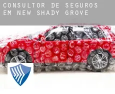 Consultor de seguros em  New Shady Grove