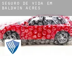 Seguro de vida em  Baldwin Acres