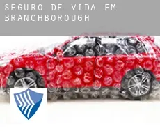 Seguro de vida em  Branchborough