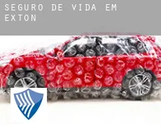 Seguro de vida em  Exton
