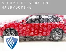 Seguro de vida em  Haidvocking