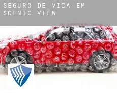 Seguro de vida em  Scenic View