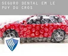 Seguro dental em  Le Puy du Cros