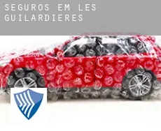 Seguros em  Les Guilardières