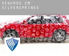 Seguros em  Silversprings
