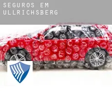Seguros em  Ullrichsberg