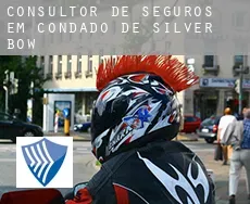 Consultor de seguros em  Condado de Silver Bow