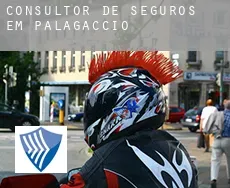 Consultor de seguros em  Palagaccio